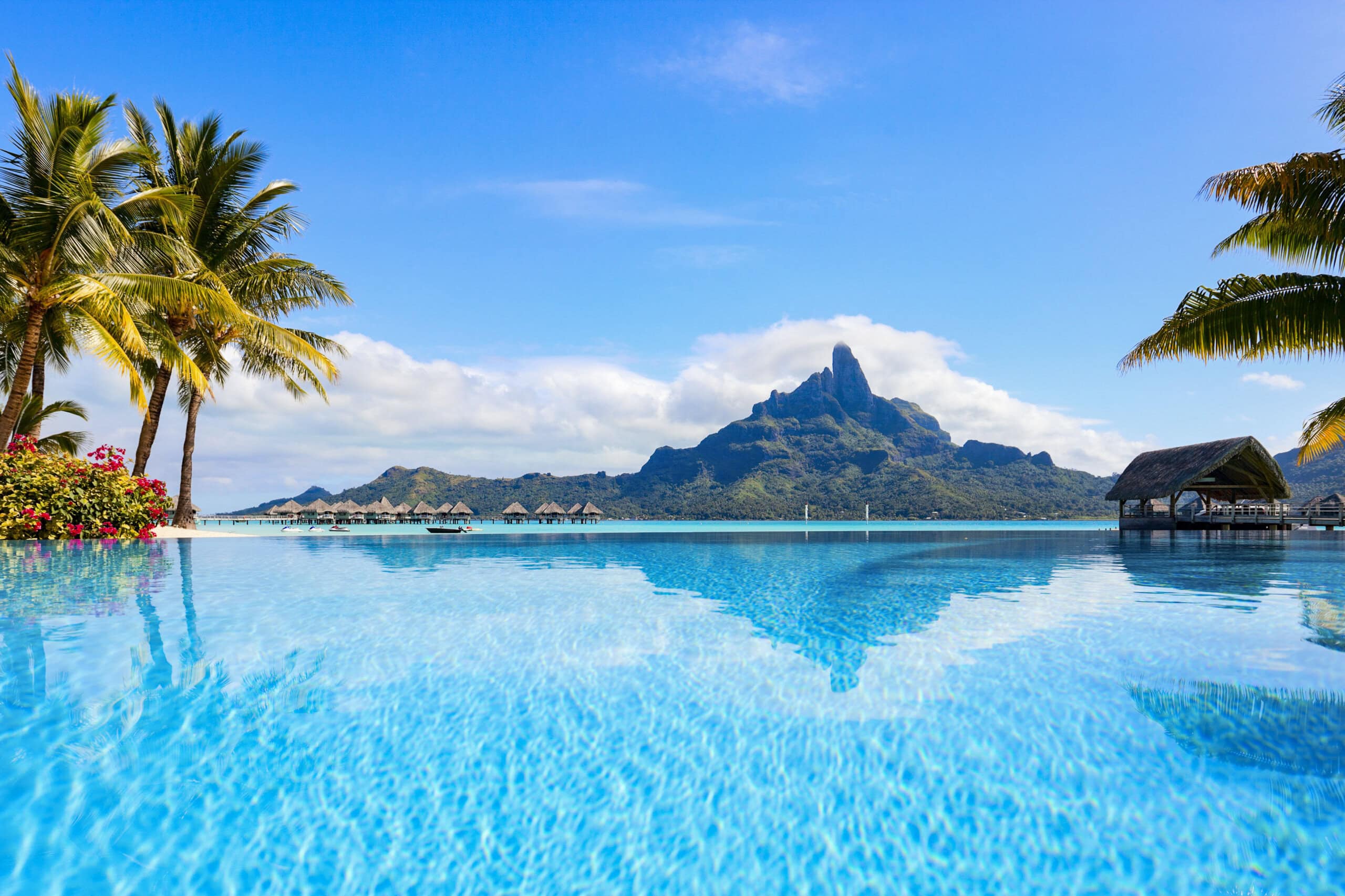fiji 1.jpg